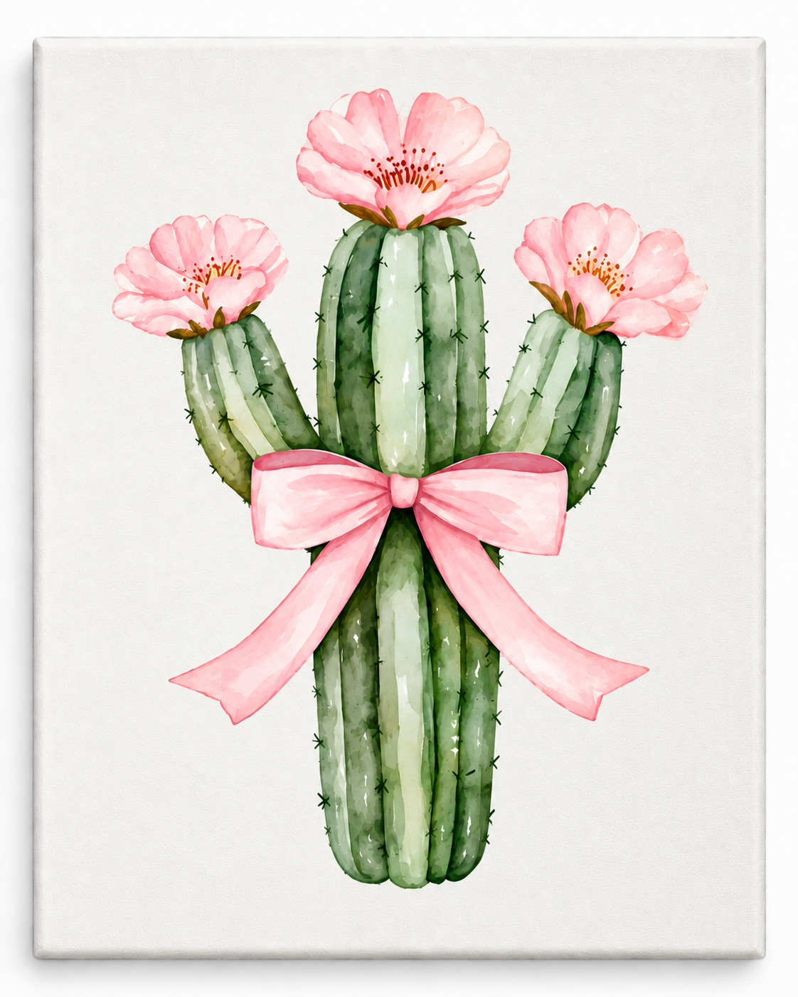 Pink Bow Cactus
